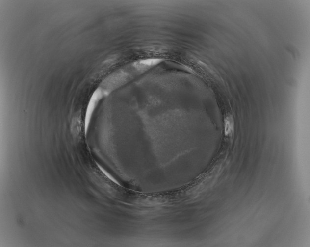 X0000113251011200910011342