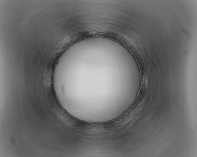 X0000113251012200910011342