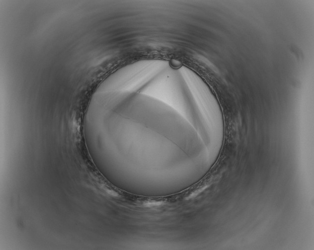 X0000113251013200910011342