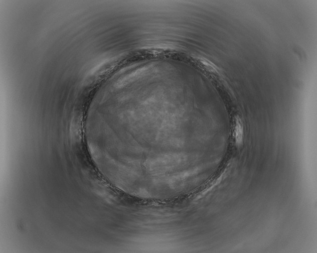 X0000113251014200910011342