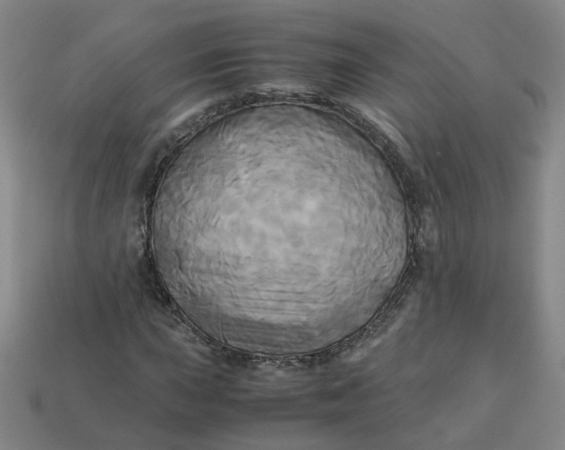 X0000113251015200910011342