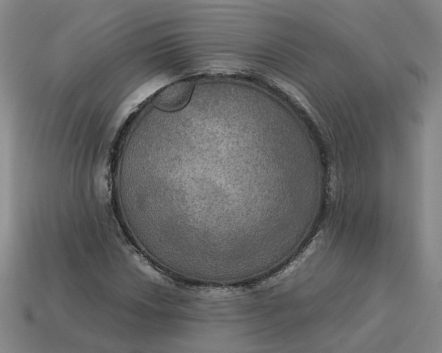 X0000113251018200910011342