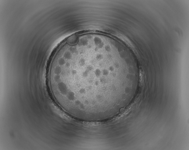 X0000113251020200910011342