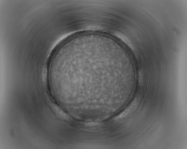 X0000113251021200910011342