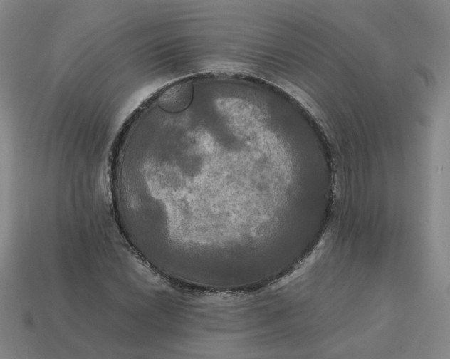 X0000113251022200910011342