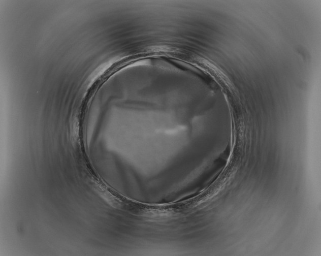 X0000113251023200910011342