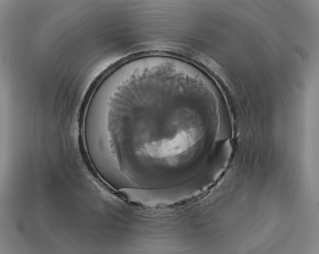 X0000113251024200910011342