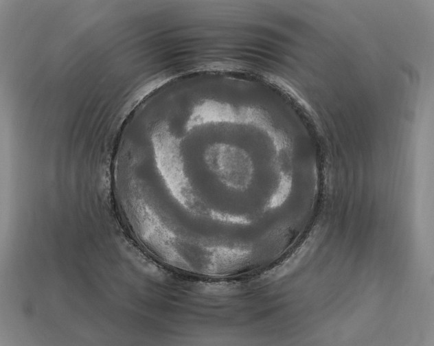 X0000113251025200910011342