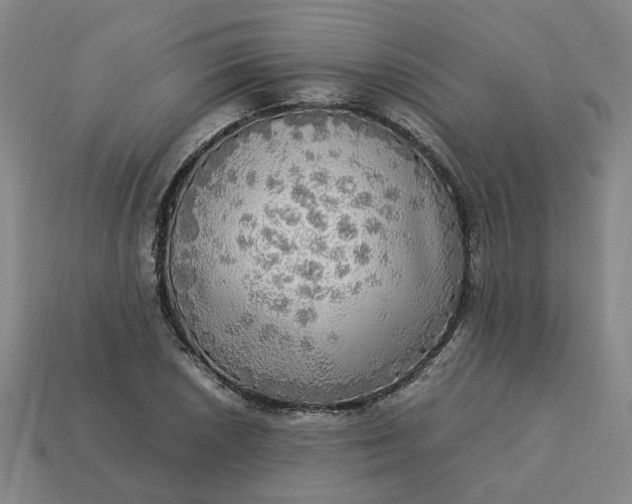 X0000113251026200910011342