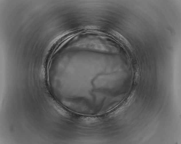 X0000113251027200910011342