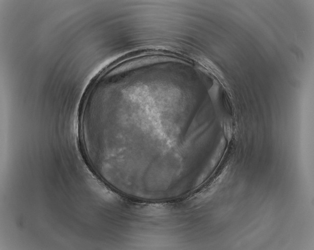 X0000113251028200910011342