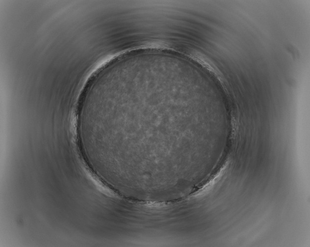 X0000113251029200910011342