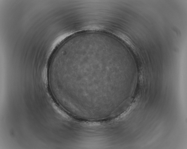 X0000113251030200910011342