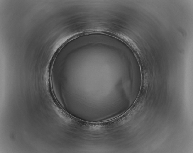 X0000113251031200910011342