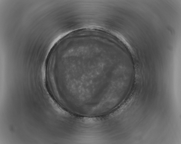 X0000113251032200910011342