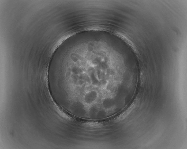 X0000113251033200910011342