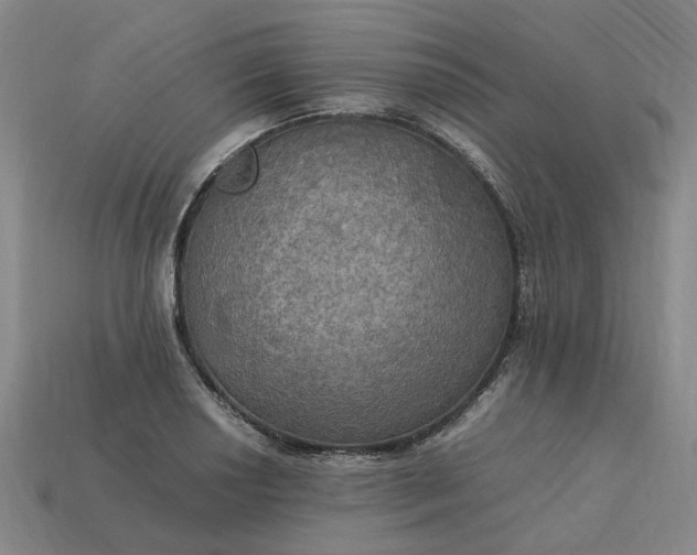 X0000113251034200910011342