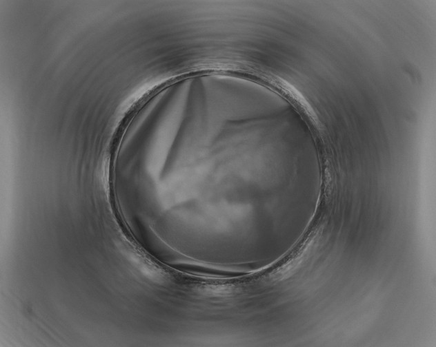 X0000113251035200910011342