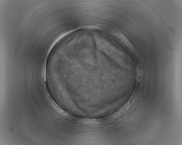 X0000113251036200910011342