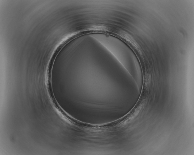 X0000113251037200910011342