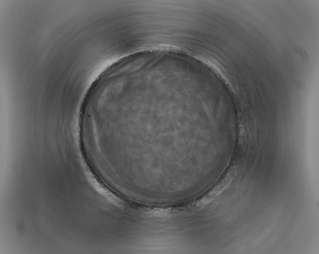 X0000113251038200910011342