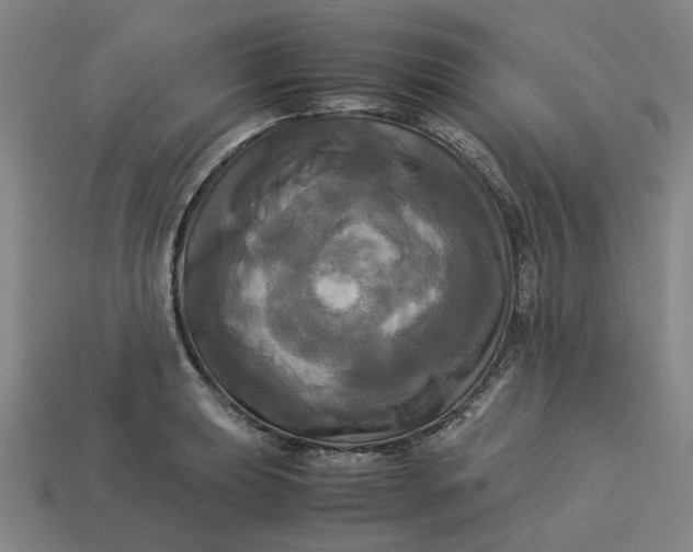 X0000113251039200910011342