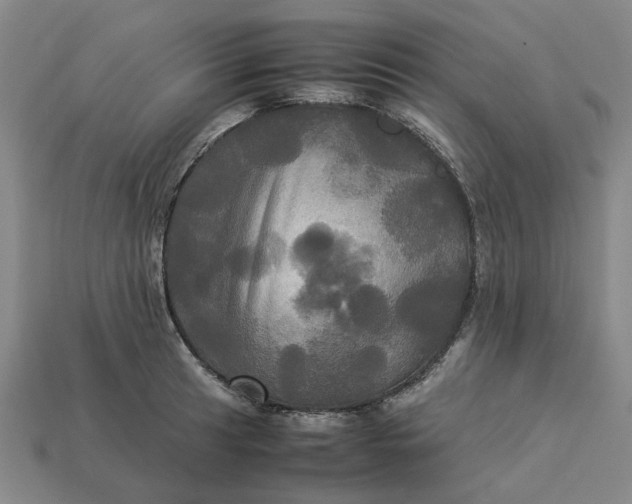 X0000113251041200910011342