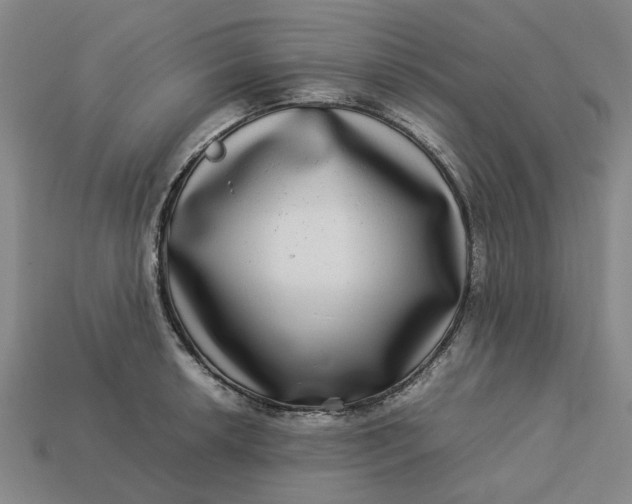 X0000113251042200910011342