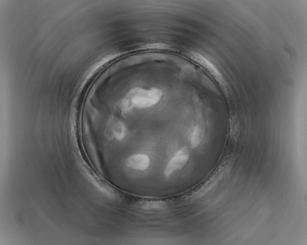 X0000113251043200910011342