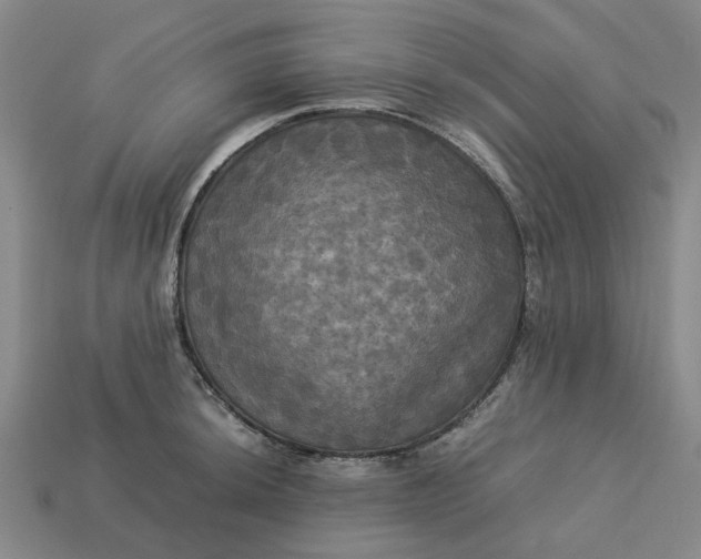 X0000113251044200910011342