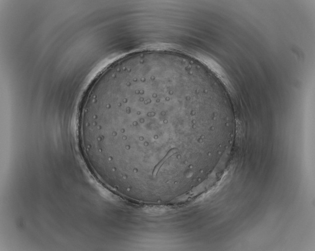 X0000113251046200910011342