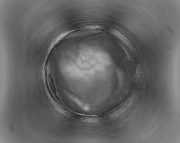 X0000113251047200910011342