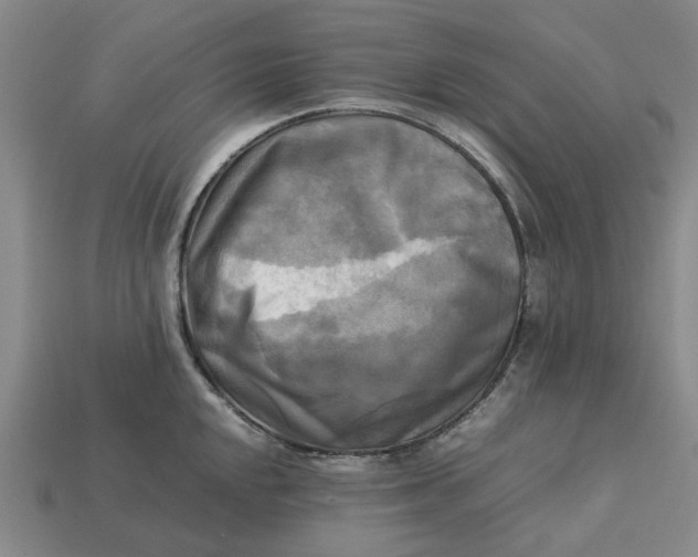 X0000113251048200910011342