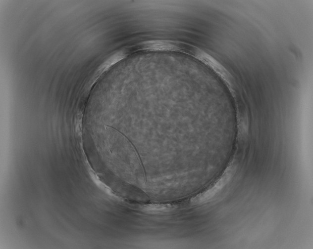 X0000113251049200910011342