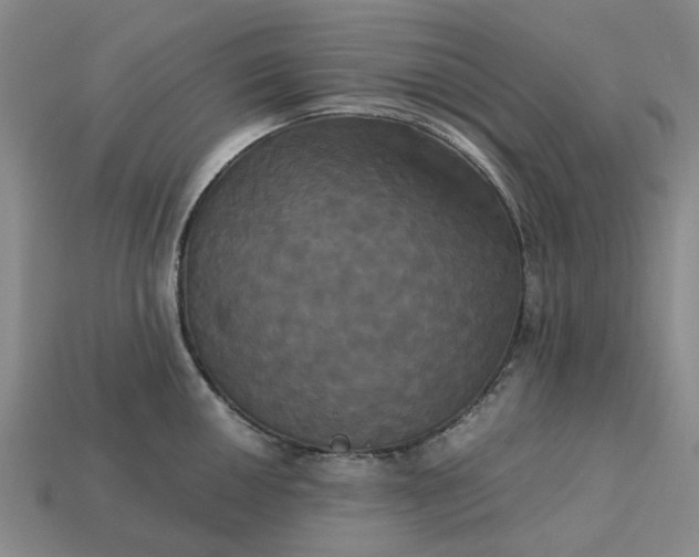 X0000113251050200910011342