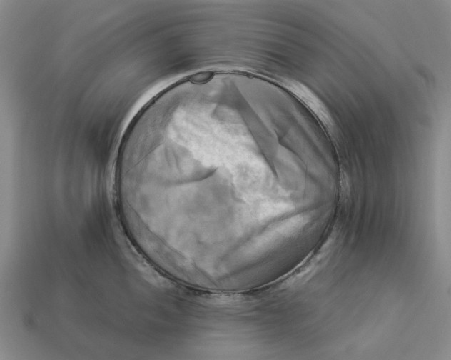 X0000113251052200910011342