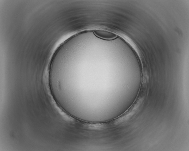 X0000113251053200910011342