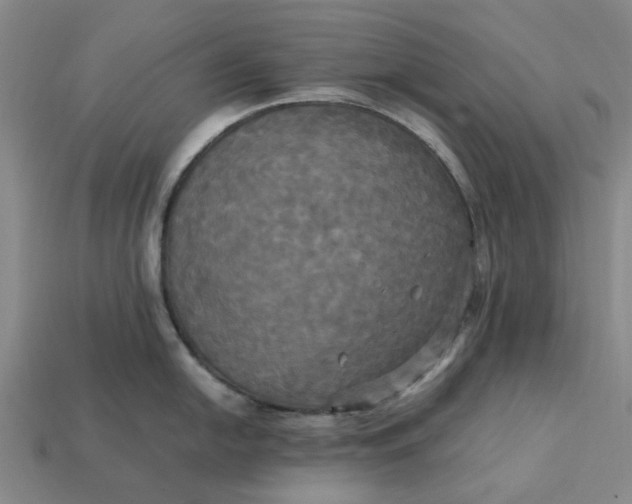 X0000113251054200910011342