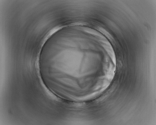 X0000113251055200910011342