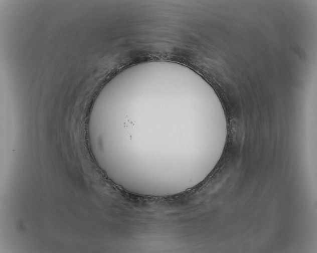 X0000113251057200910011341