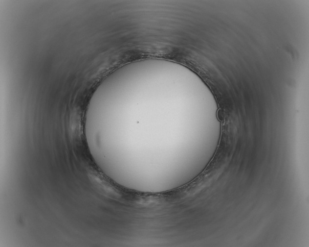 X0000113251058200910011341