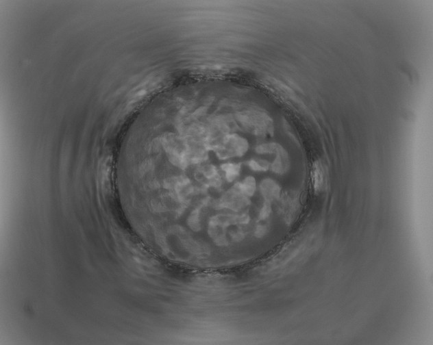 X0000113251059200910011341