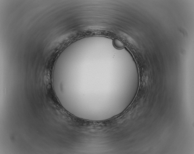 X0000113251062200910011341