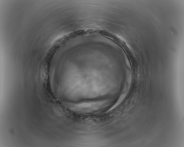 X0000113251063200910011341