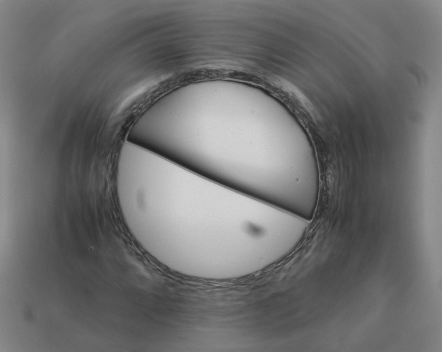 X0000113251064200910011341