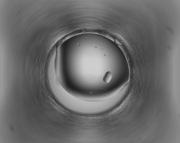 X0000113251065200910011341