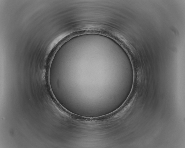 X0000113251066200910011341