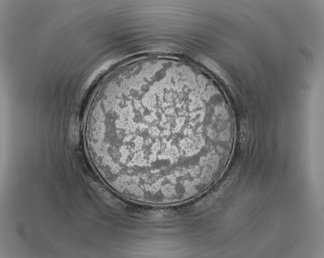 X0000113251067200910011341