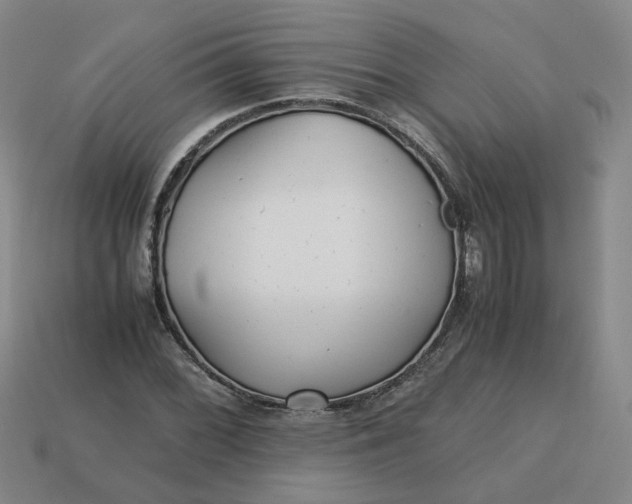 X0000113251068200910011341