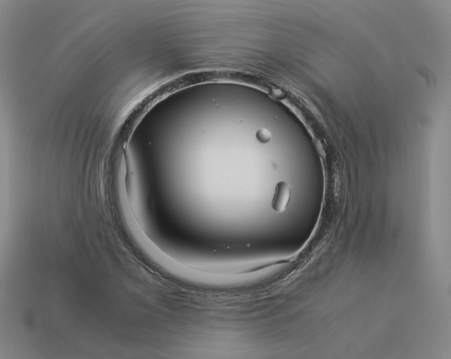 X0000113251069200910011341